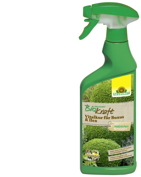 Produktbild einer grünen Handsprühflasche von Neudorff BioKraft Vitalkur für Buxus & Ilex mit Etikett und Produktbeschreibung in deutscher Sprache.