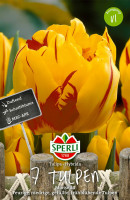Sperli Gefüllte Frühe Tulpe Monsella