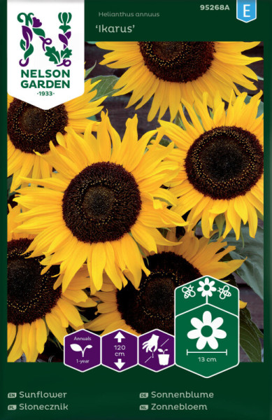 Produktbild von Nelson Garden Sonnenblume Ikarus mit Detailangaben zur Wuchshöhe und Blütengröße auf der Verpackung.
