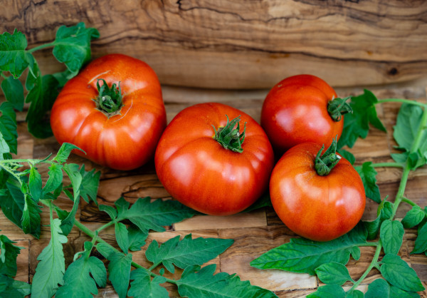2400-fresh-or-dried-tomatoes-solanum-lycopersicum-for-a-salad-or-a-soup