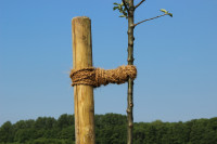 Videx Kokos - Baumbinder 15 m