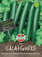 Sperli Salatgurke Bella, F1