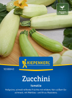 Kiepenkerl Zucchini Ismalia F1