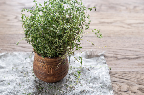 2400-fresh-thyme-on-the-wooden-background