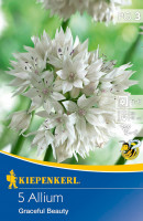 Kiepenkerl Zierlauch Graceful Beauty