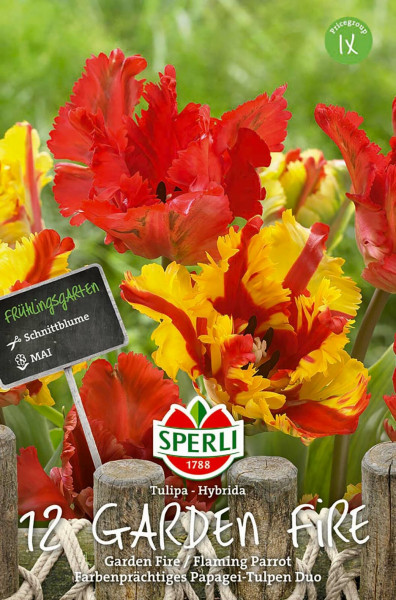 Produktbild von Sperli Frühlingsgarten Garden Fire mit roten und gelben Papagei-Tulpen und Verpackungsinformationen auf Deutsch.