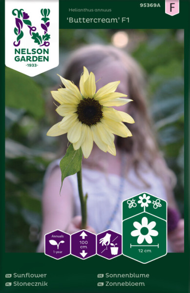 Produktbild von Nelson Garden Sonnenblume Buttercream F1 mit einer gelben Blüte vor unscharfem Hintergrund einer Person und Informationen zu Pflanzeneigenschaften auf Deutsch und anderen Sprachen.