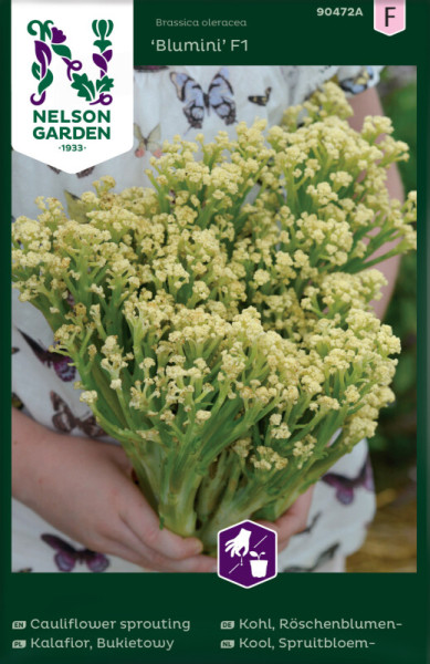 Produktbild von Nelson Garden Röschenblumenkohl Blumini F1 Saatgutverpackung mit einer Person die eine Pflanze hält und mehrsprachigen Produktinformationen.