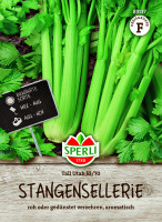 SPERLI Stangensellerie Tall Utah 52/70