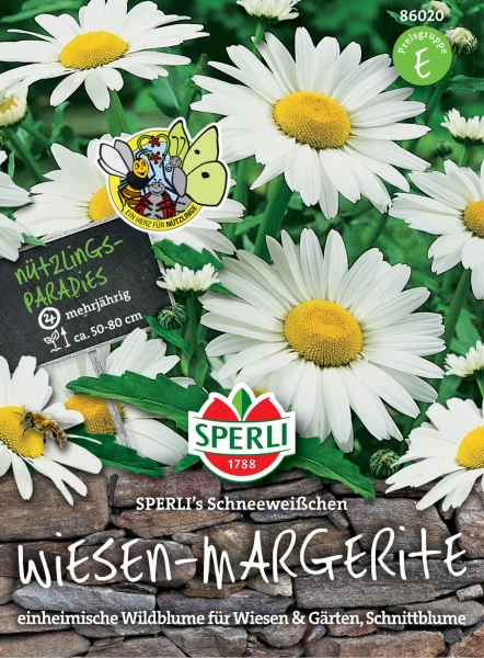 Wiesenmargeriten richtig dngen | Samen.de