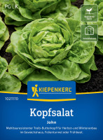 Kiepenkerl Kopfsalat John