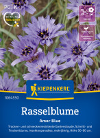 Kiepenkerl Rasselblume Amor Blue