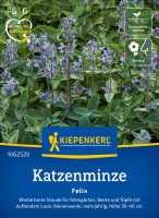 Kiepenkerl Katzenminze Felix