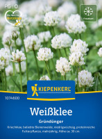Kiepenkerl Weißklee Kriechklee
