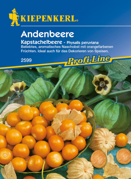 Produktbild von Kiepenkerl Andenbeere Kapstachelbeere mit mehreren reifen Früchten und dem Markenlogo sowie Informationen zur Sorte und Verwendung in deutscher Sprache.