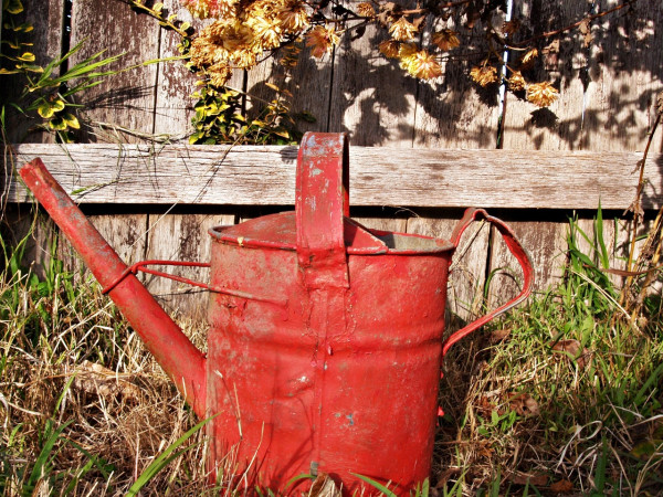 watering-can-1466632_1280