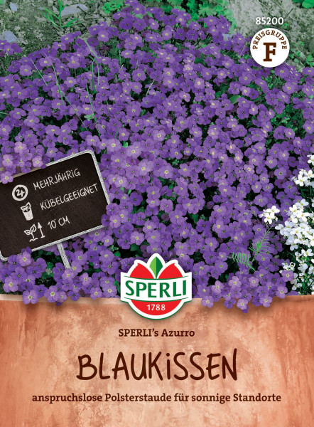 Produktbild von Sperli Blaukissen Azurro mit blühenden violetten Pflanzen und Schild mit Informationen zur Pflanze sowie Verpackungsdesign mit Markenlogo und Produktname.