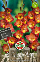 Sperli Gladiole Vasto