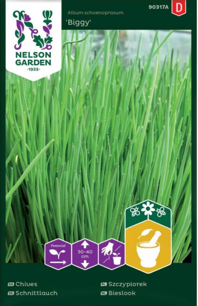 Produktbild von Nelson Garden Schnittlauch Biggy mit Pflanzenabbildung und Icons für Lebensdauer, Pflanzabstand und Mörser sowie mehrsprachigen Produktbezeichnungen
