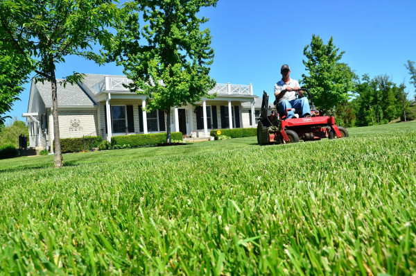 lawn-care-643556_1920
