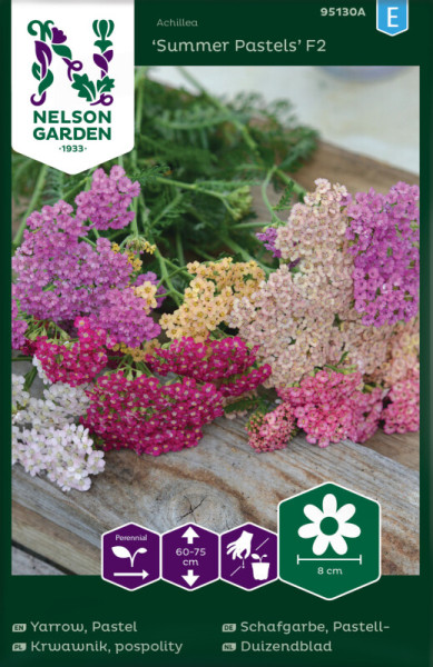 Produktbild von Nelson Garden Schafgarbe Summer Pastels F2 mit mehrfarbigen Blüten und Angaben zur Pflanzengröße und Blütengröße sowie Logo und Unternehmensname.