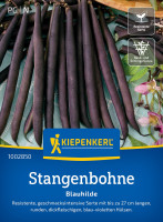 Kiepenkerl Stangenbohne Blauhilde