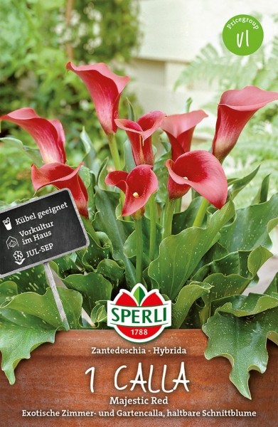 Produktbild von Sperli Calla Majestic Red mit roten Blüten und Beschreibung als exotische Zimmer- und Gartenpflanze in einer Verpackung mit Markenlogo und Pflanzanweisungen.