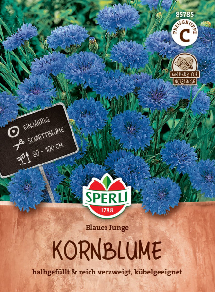 Produktbild von Sperli Kornblume Blauer Junge in blauer Blütenpracht mit Verpackung und Kennzeichnungen wie einjährig und Schnittblume auf einer Tafel vor einem terrakottafarbenen Hintergrund.
