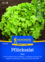 Kiepenkerl Pflücksalat Vizir