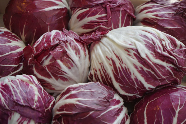 radicchio-318197_1920-1