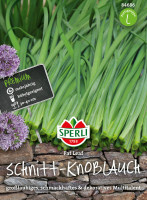 Sperli Schnitt-Knoblauch Fat Leaf