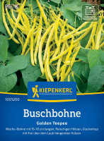 Kiepenkerl Buschbohne Golden Teepee