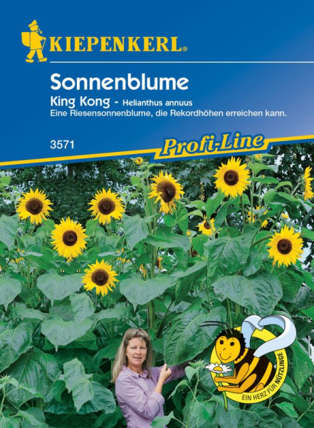 Produktbild von Kiepenkerl Sonnenblume King Kong Verpackung mit Bildern von großen Sonnenblumen und einer Frau sowie Produktinformationen in deutscher Sprache.