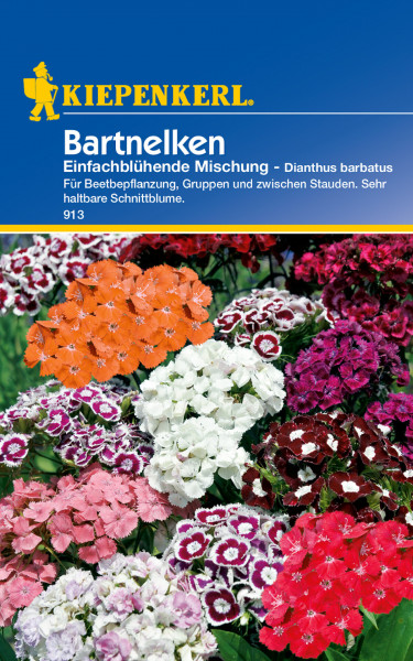Produktbild von Kiepenkerl Bartnelken Einfachblühende Mischung mit blühenden Pflanzen in verschiedenen Farben und Textinformationen zur Pflanzenart und Pflegehinweisen in deutscher Sprache.
