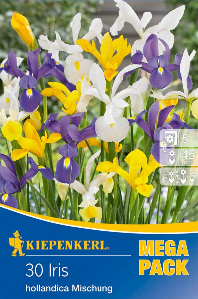 Produktbild von Kiepenkerl Mega-Pack mit 30 Iris hollandica Schwertlilien in verschiedenen Farben, Informationen zum Standort und Wuchshöhe sowie dem Logo von Kiepenkerl.