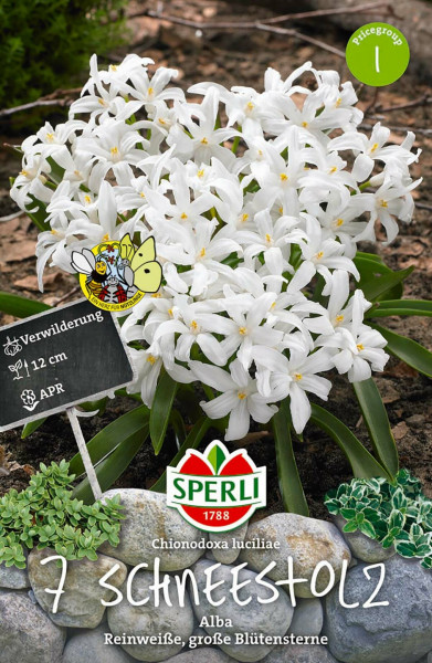 Produktbild von Sperli Schneeglanz Alba mit Darstellung der weißen Blumen, Informationen zur Verwilderung, Pflanzzeit und Markenlogo.