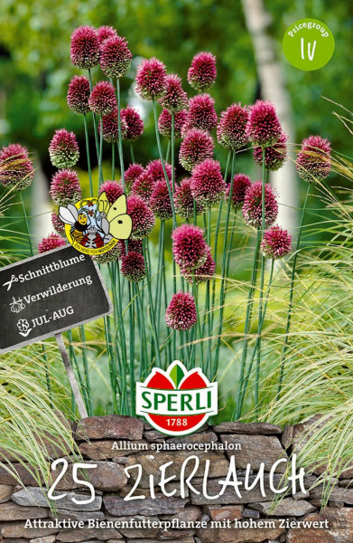Produktbild von Sperli Zierlauch sphaerocephalon mit Darstellung der Pflanze sowie Angaben zur Sorte, Blütezeit und Hinweis als Bienenfutterpflanze.