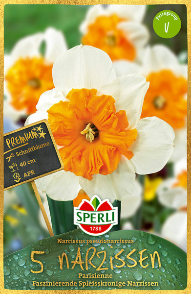 Produktbild von Sperli Premium Spleißkronige Narzisse Parisienne mit Blumenabbildung und Informationen zur Sorte und Pflanzzeit auf der Verpackung