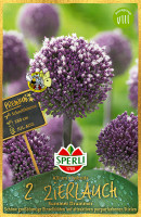 Sperli Premium Zierlauch Summer Drummer