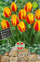 Sperli Einfache Frühe Tulpe Flair
