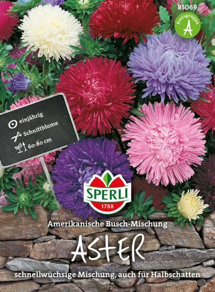 Produktbild von Sperli Aster Amerikanische Busch-Mischung mit blühenden Asters in verschiedenen Farben vor einem Steinwall und Informationen zur Pflanzenart und Wuchshöhe.
