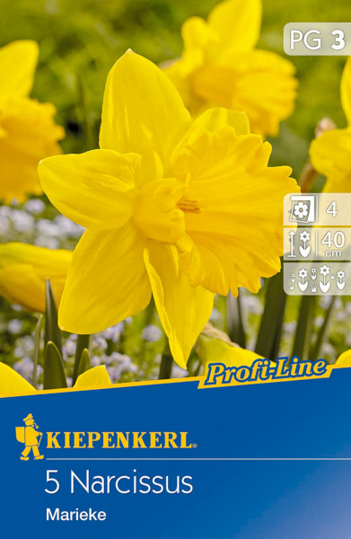 Produktbild der Kiepenkerl Profi-Line Narzisse Marieke Verpackung mit Abbildung gelber Narzissen und Informationen zu Pflanzzeit und Wuchshöhe.