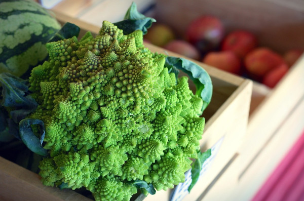 romanesco-1482972_1280