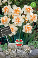 Sperli Gefüllte Narzisse Replete