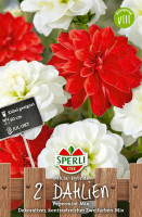 Sperli Dahlien-Duo Pepermint-Mix
