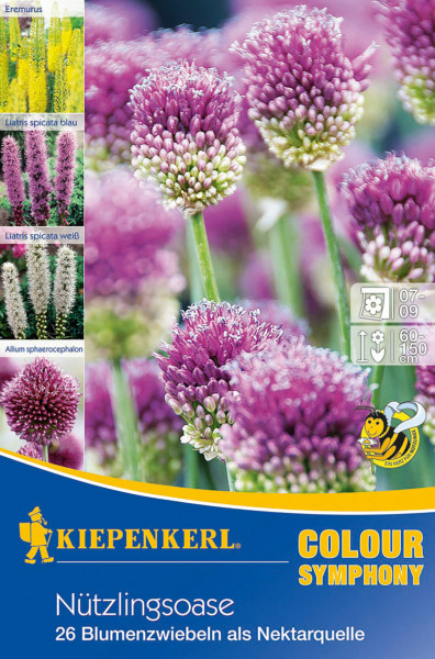 Produktbild von Kiepenkerl Nützlingsoase mit 26 Blumenzwiebeln als Nektarquelle, dargestellt durch Bilder von blühenden Pflanzen und Verpackungsinformationen.
