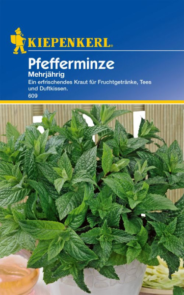 Produktbild von Kiepenkerl Pfefferminze mehrjährig mit einer Abbildung der Pflanze und Verpackungsinformationen auf Deutsch.