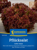 Kiepenkerl Pflücksalat Lollo rossa