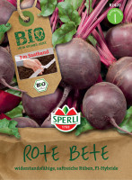 Sperli BIO Rote Bete, F1, Saatband