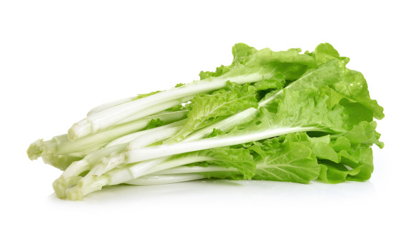 large-lettuce-isolated-on-white-background-1